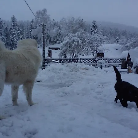 Les Chamois 2* La Bollène-Vésubie